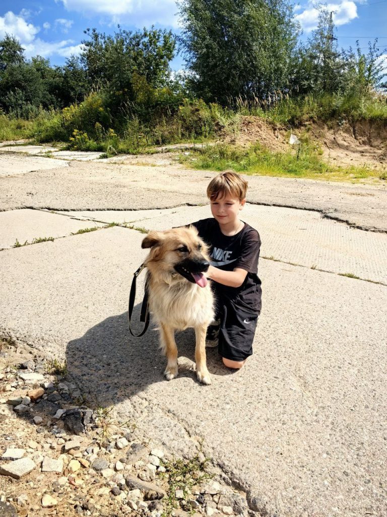 Пожертвования в РОО «Экология человека»: ваш вклад спасает жизни бездомных животных