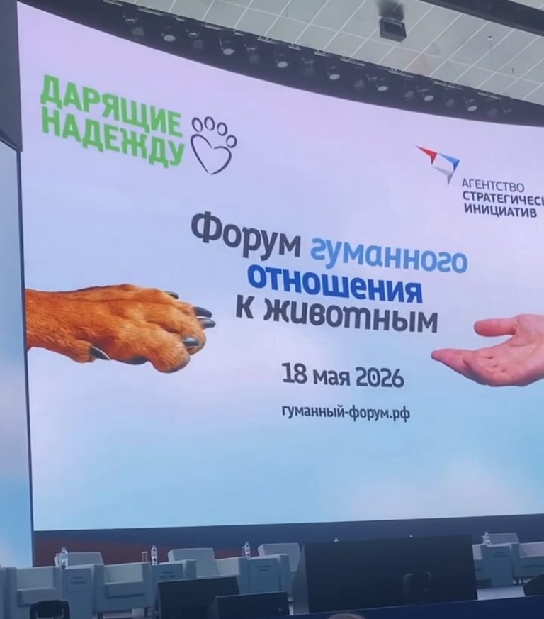 Форум гуманного отношения к животным: шаг к объединению усилий